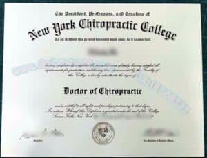 文凭之路：您的海外学历认证专业伙伴