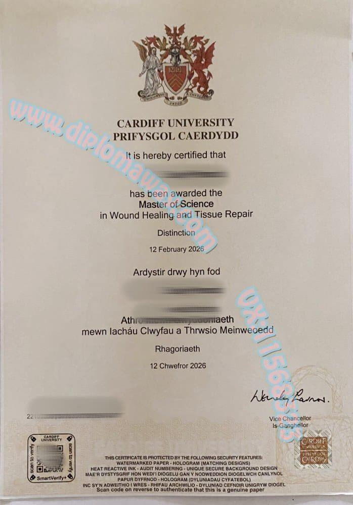 卡迪夫大学毕业证