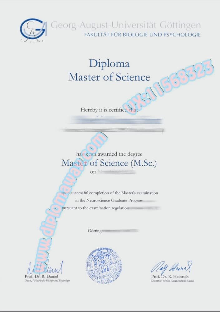 哥廷根大学毕业证